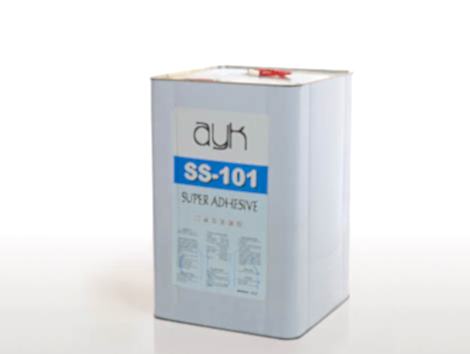 SS 101